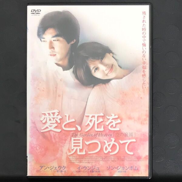 愛と、死を見つめて DVD アジア映画