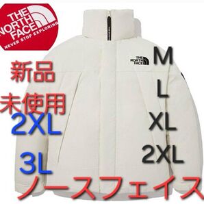 ノースフェイス 中綿 ダウンジャケット 新品 新作 海外限定 アウター 2XL 3L