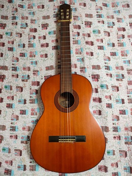 YAMAHA G-100D