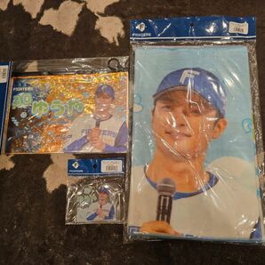 日本ハムファイターズ 郡司裕也