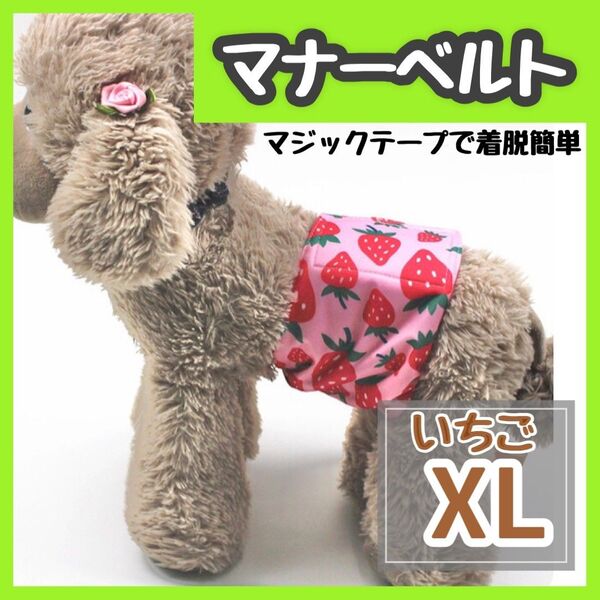 いちご XL マナーバンド マナーベルト マナーウェア 犬服 マナーパンツ わんこ服