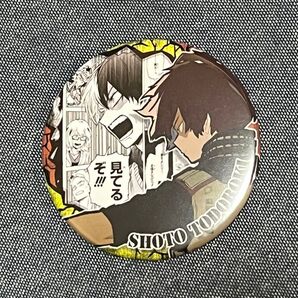 BIG缶バッジ ヒロアカ 轟焦凍