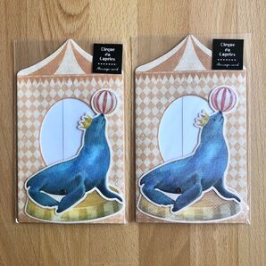 メッセージカード SEAL アシカ レターセット 手紙 かわいい 可愛い 水彩タッチ 手描き風