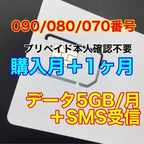 プリペイドSIMカード データ通信5GB/月 データ通信専用 SMS受信可能