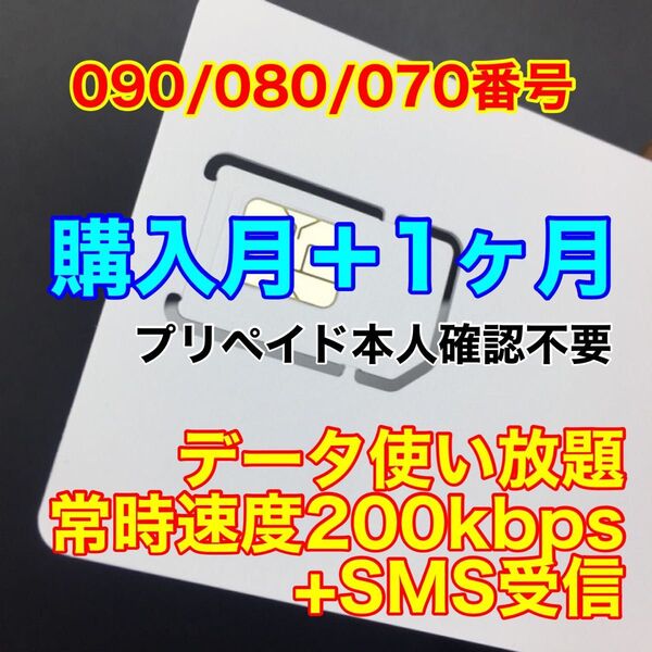 プリペイドSIMカード データ通信200kbps/月 データ通信専用 SMS受信可能