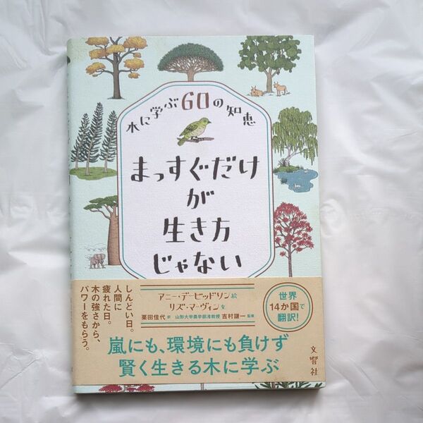 まっすぐだけが生き方じゃない 木に学ぶ60の知恵 リズ・マーヴィン/文 アニー・デービッドソン/絵 栗田佳代/訳 吉村謙一/監修