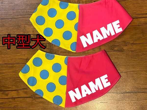 カラフルバンダナスタイ