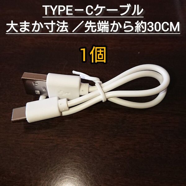 Type-C ケーブル 1個 (ケーブルのみ) 大まか寸法、先端から約30cm 短め