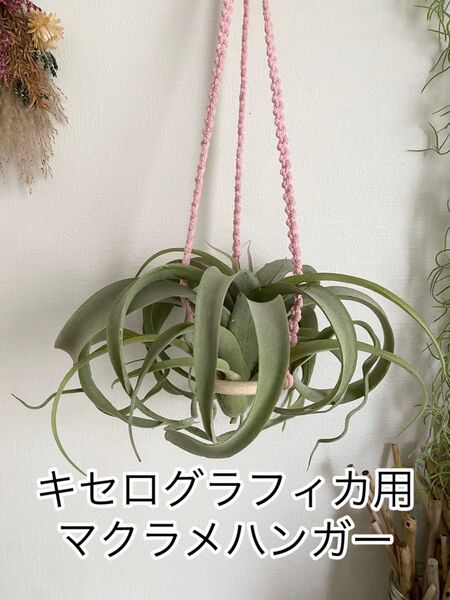 キセログラフィカ用★ウッドリングマクラメハンガー