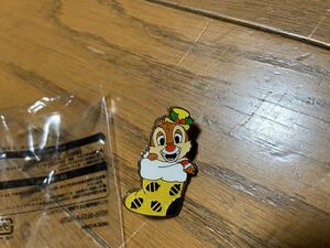  pin badge Tokyo Disney Land new goods storage goods!