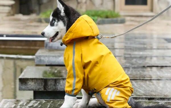 犬用 レインコート イエロー
