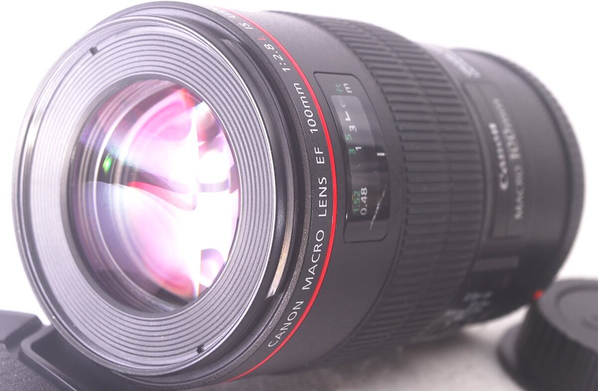 2025年最新】Yahoo!オークション -ef100mm f2.8l マクロ is usm 2025年最新】Yahoo!オークション -ef100mm f2.8l マクロ is usm