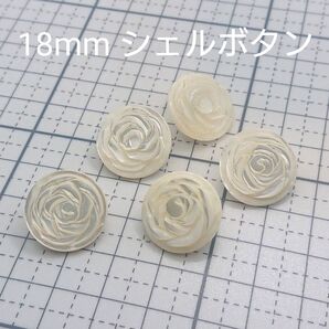 シェルボタン 18mm 5個組 ③