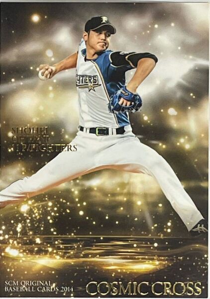 50ー50 大谷翔平 BBM 2014 SCM付録カード NO.225 非売品