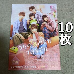 うちの弟どもがすみませんの映画フライヤ 10枚セット