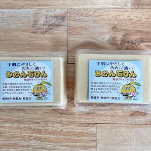 みかん石鹸 ミカン 石鹸 ソープ 食器 衣類 洗車 洗濯 台所