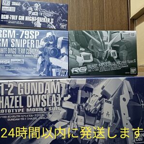 ガンプラまとめ売り(プレバン限定品)