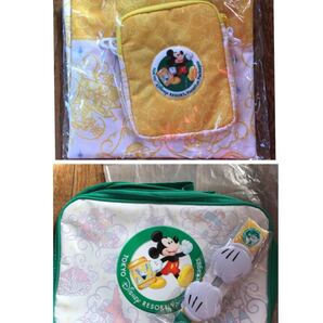 ディズニーリゾートバケーションエコバッグレッスンバッグセット