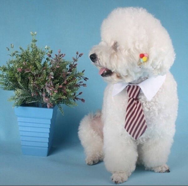 犬 猫 ネクタイ ストライプ スーツ 服 衣装 コスプレ アニマル ペット