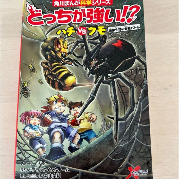 どっちが強い!? ハチvsクモ 危険生物の必殺バトル