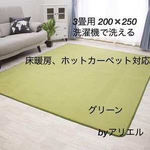新品 3畳タイプ 防ダニ仕様 洗える フランネルラグ グリーン
