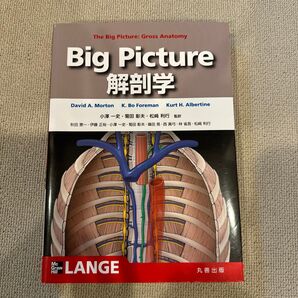 【値段交渉可】【超美品】Bigpicture解剖学
