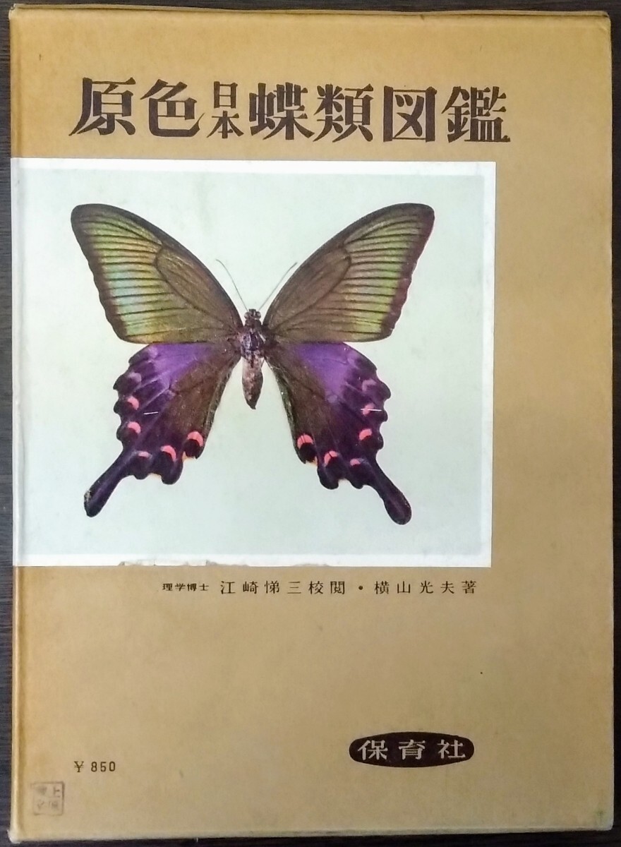 2025年最新】Yahoo!オークション -原色日本蝶類図鑑(本、雑誌)の 2025年最新】Yahoo!オークション -原色日本蝶類図鑑(本、雑誌)の