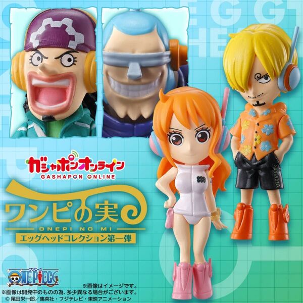 ワンピの実 エッグヘッドコレクション 第一弾