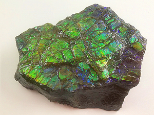 Ammolite highest grade SA rainbow. brilliancy gem quality [ Anne mo light ]*100% regular goods genuine article compensation document [..* -years old talent *. image power ]1 month,2 month birthstone hard-to-find 