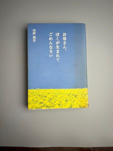 お母さん、ぼくが生まれてごめんなさい