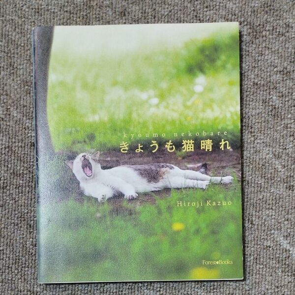 写真集 今日も猫晴れ hiroji kazuo forest books