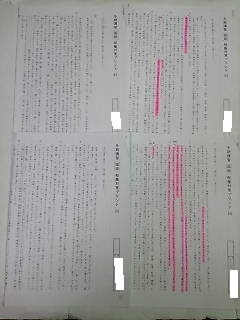 サピックス SAPIX*6年 小6*冬期講習*国語/桜蔭 対策プリント*3回*2018年