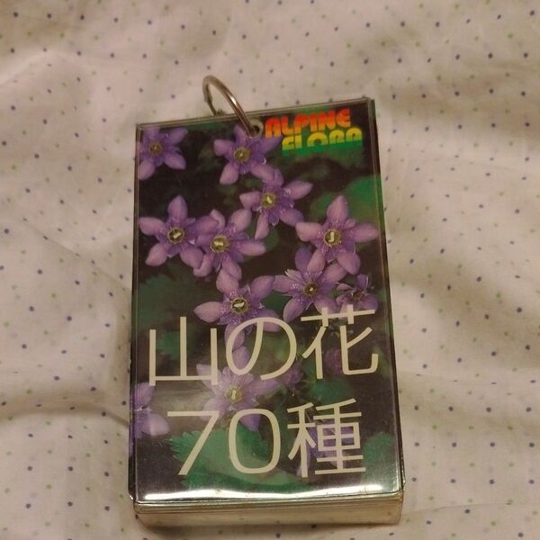 山の花 70種 ポケット図鑑