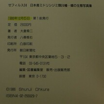 【超希少】【美品】古本　ゼフィルス２４　日本産ミドリシジミ類２４種‐蝶の生態写真集　初版　著者：大倉舜二　朝日新聞社_画像6