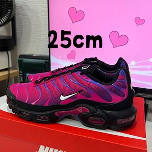 Nike Air Max Plus Rebellious Air 25cm