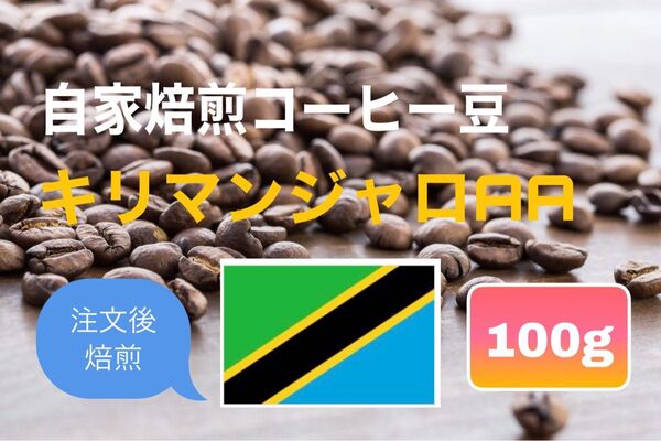 (注文後焙煎)キリマンジャロAAお試し100g※即購入可