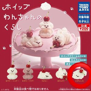 ホイップわんちゃんのくらし とけちゃった①
