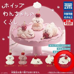 ホイップわんちゃんのくらし とけちゃった②