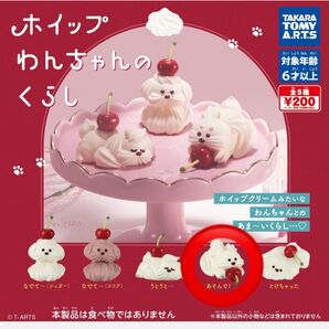 ホイップわんちゃんのくらし あそんで②