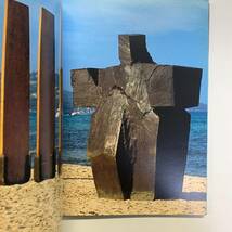 カタログ　L'art a la plage　2001年　Galerie Enrico Navarra　gg00834_o5_画像3