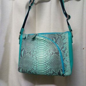 パイソンレザーグリーン系ショルダー バッグ