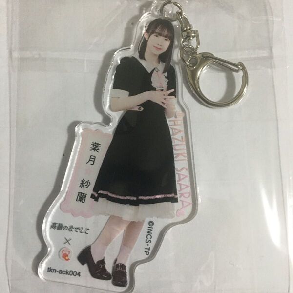 【非売品】高嶺のなでしこ 葉月紗蘭 アクキー