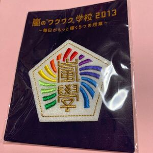 嵐 2013年 嵐のワクワク学校 校章 刺繍ワッペン