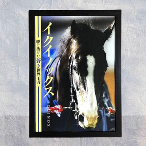 【非売品】A4額付き イクイノックス 引退記念ポスター