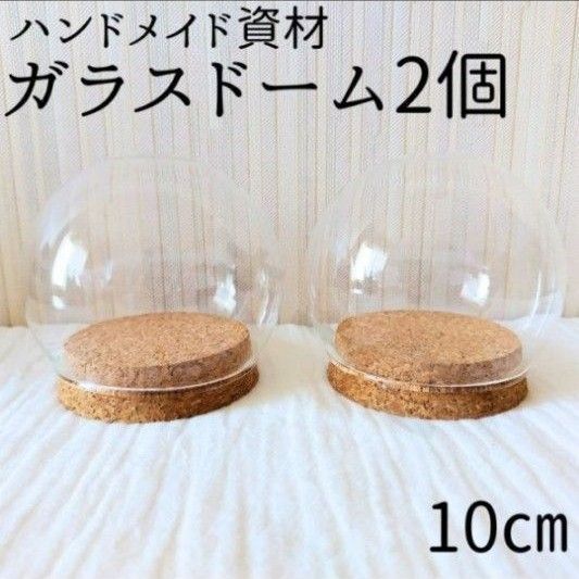 ガラスドーム フラワー インテリア プリザーブドフラワー コルク ハンドメイド 仏花 お供え 入れ物 ドライフラワー 10㎝ 2個