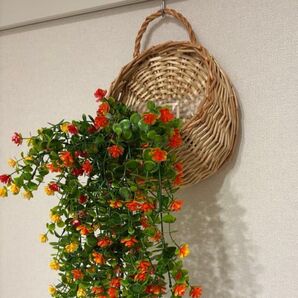 壁掛け植木鉢 ラタン 籐 バスケット