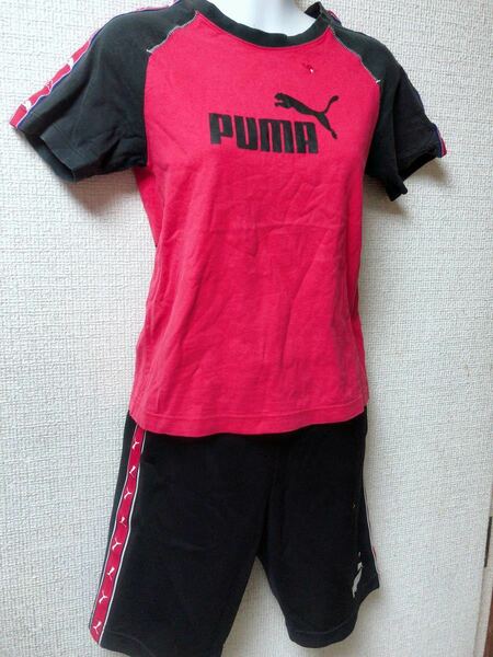 ☆ pumaＴシャツ上下セット 140cm 美品 