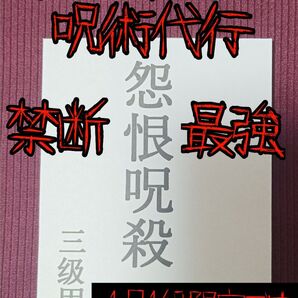 【強力な呪いにつき1日1組限定】 呪い.呪術代行 御札.霊符