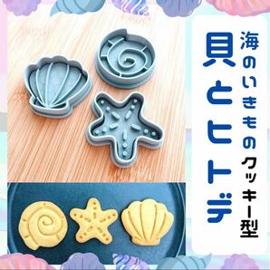 クッキー型 ホタテ 巻貝 ヒトデ いきもの 海星 かわいい マドレーヌ 貝殻