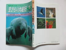 NHK地球ファミリー 生きもの大紀行 第6巻 NHK取材班編　1990年_画像1